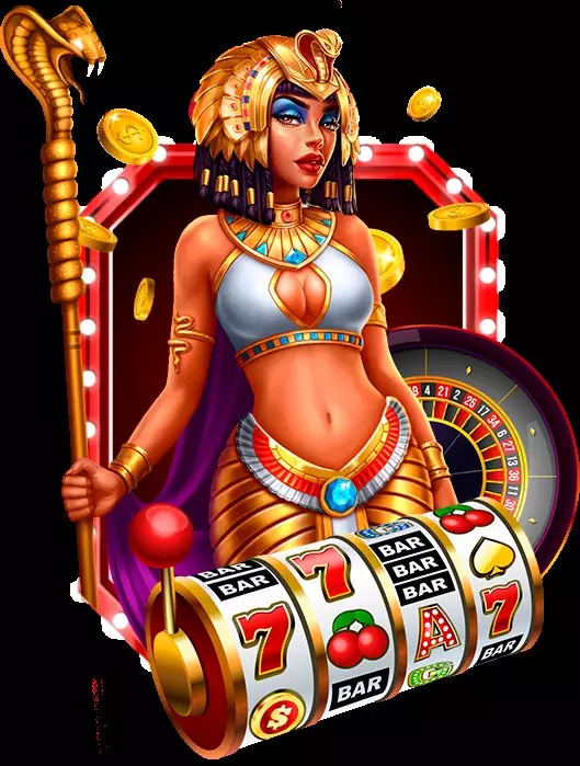 Conclusión y aviso de responsabilidad